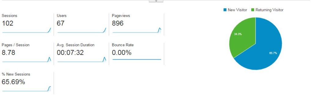 Sample of the Google analytics.